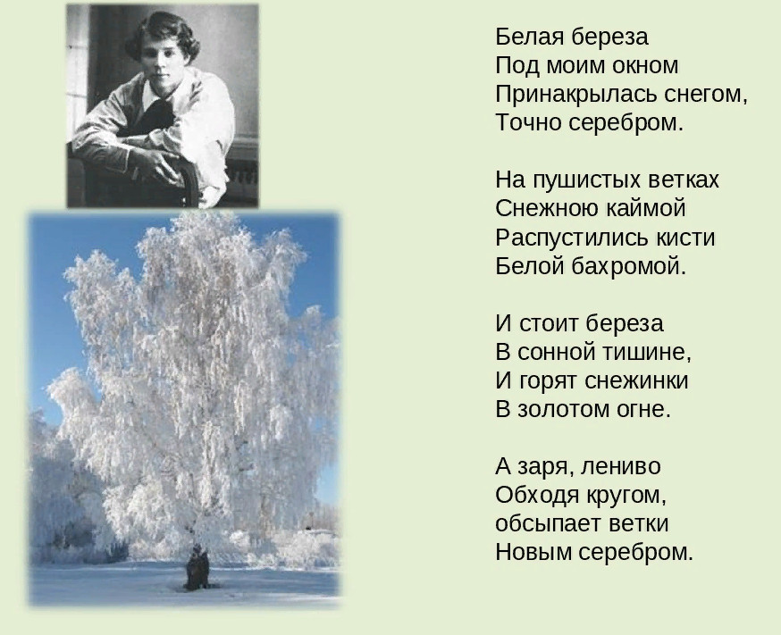 Есенин белое стихотворение. Стих Есенина белая берёза под моим окном. Стихотворение Есенина белая береза. Стихотворение Есенина белая береза текст. Есенин стихи белая береза под моим окном.