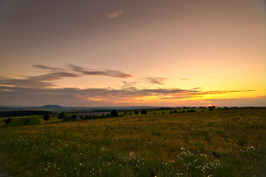 https://forumupload.ru/uploads/0018/19/50/2/238357.jpg