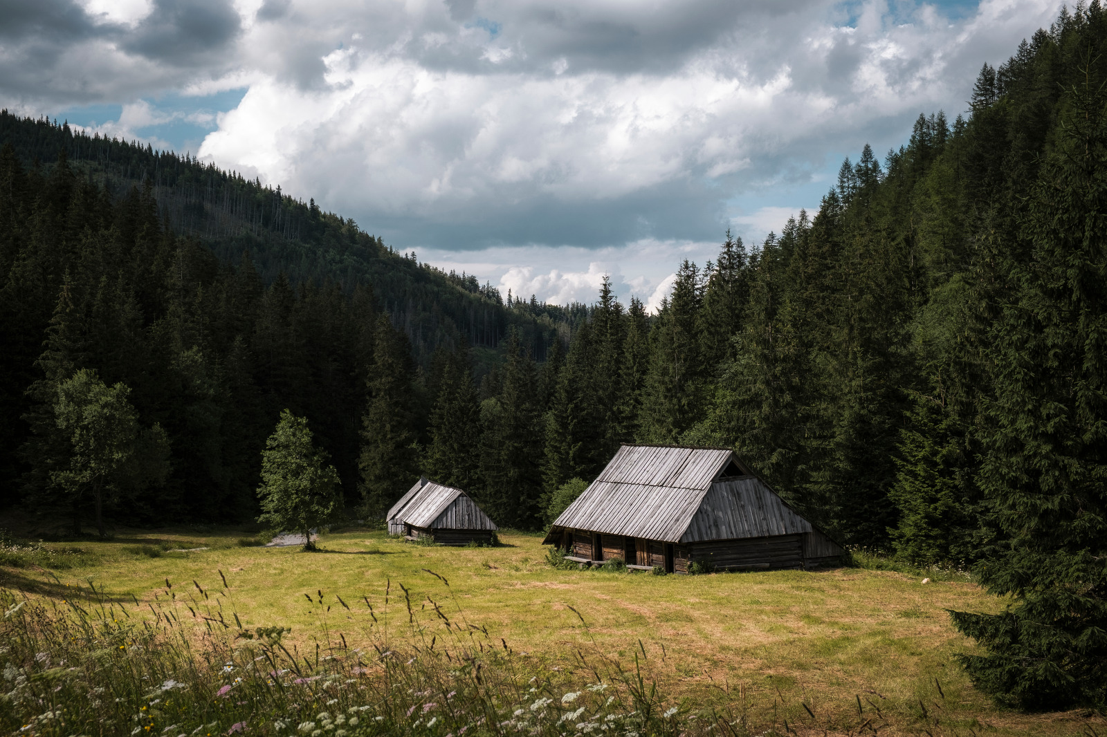 https://forumupload.ru/uploads/0018/19/50/2/343254.jpg