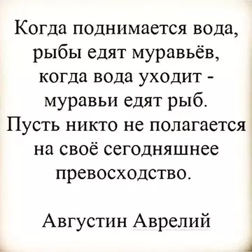 https://forumupload.ru/uploads/0018/1f/0e/31/t153836.webp