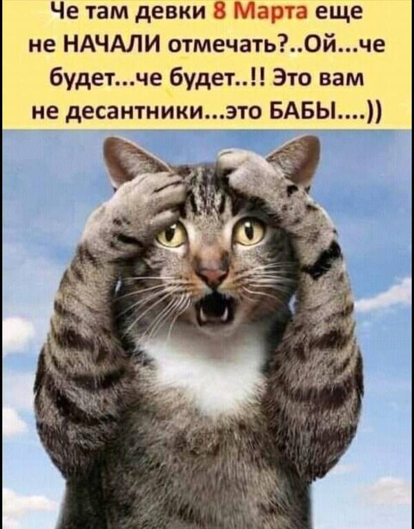 https://forumupload.ru/uploads/0019/3a/78/12/t354932.jpg