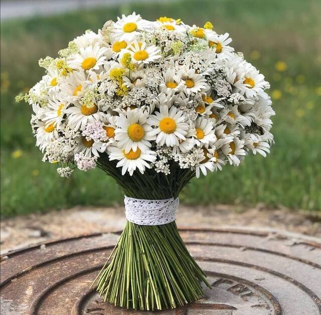 https://forumupload.ru/uploads/0019/3a/78/16/199257.jpg