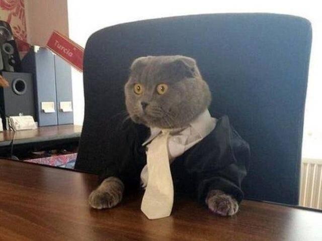 https://forumupload.ru/uploads/0019/3a/78/16/510328.jpg