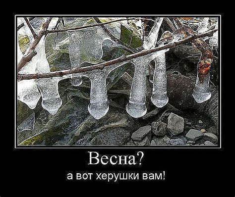 https://forumupload.ru/uploads/0019/3a/78/16/861652.jpg