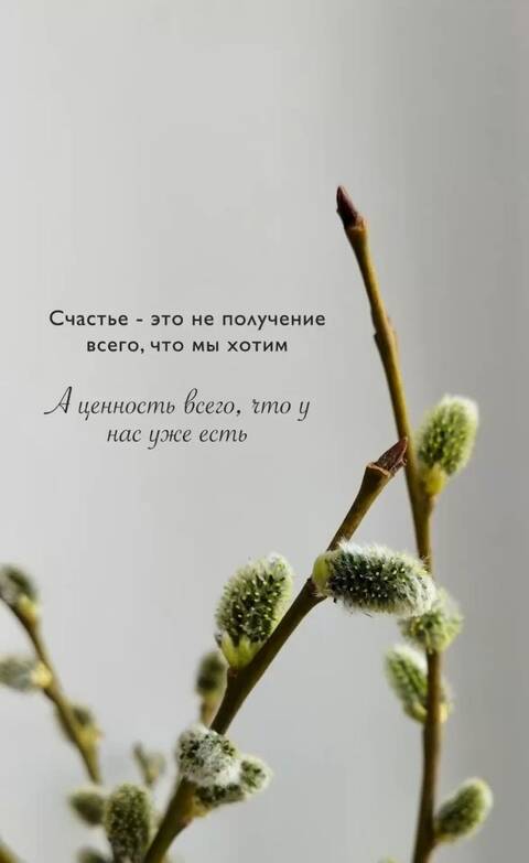 https://forumupload.ru/uploads/0019/3a/78/212/t484756.jpg