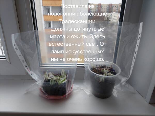 https://forumupload.ru/uploads/0019/3a/78/212/t513432.jpg