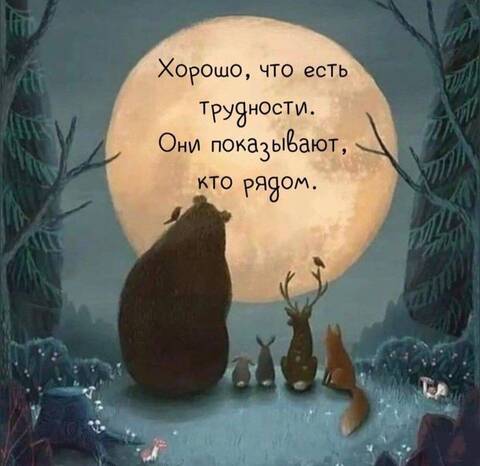 https://forumupload.ru/uploads/0019/3a/78/212/t612127.jpg