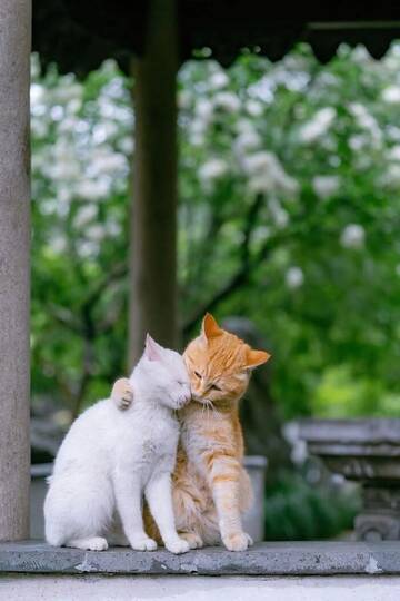 https://forumupload.ru/uploads/0019/3a/78/212/t658556.jpg