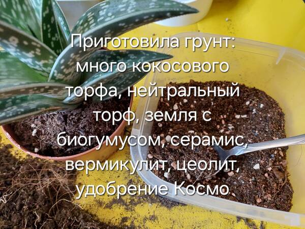 https://forumupload.ru/uploads/0019/3a/78/212/t684920.jpg