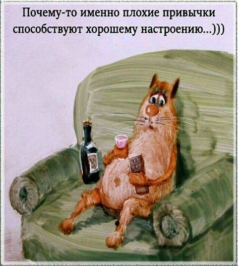 https://forumupload.ru/uploads/0019/3a/78/253/t24514.jpg