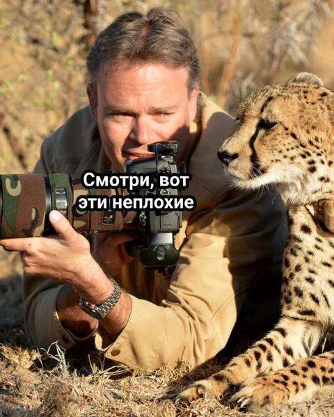 https://forumupload.ru/uploads/0019/3a/78/253/t265169.jpg