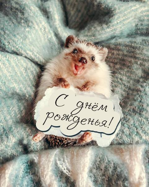 https://forumupload.ru/uploads/0019/3a/78/253/t368055.jpg
