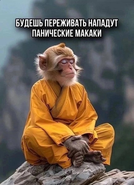 https://forumupload.ru/uploads/0019/3a/78/253/t471017.jpg