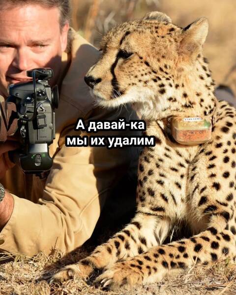 https://forumupload.ru/uploads/0019/3a/78/253/t648568.jpg