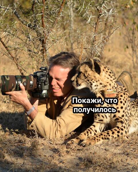 https://forumupload.ru/uploads/0019/3a/78/253/t957406.jpg