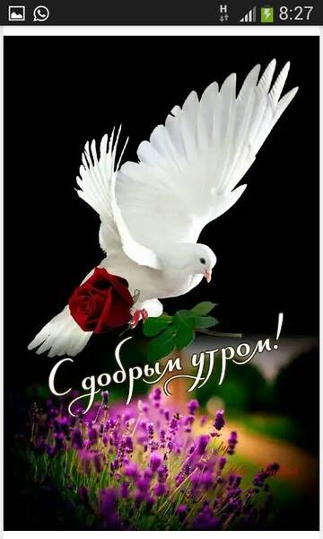 https://forumupload.ru/uploads/0019/3a/78/4/t123271.jpg