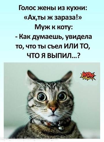 https://forumupload.ru/uploads/0019/3a/78/4/t210737.jpg