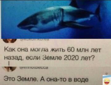 https://forumupload.ru/uploads/0019/3a/78/4/t348262.jpg