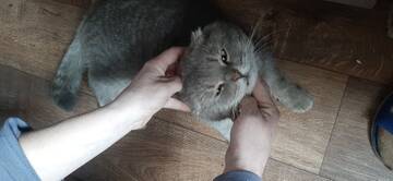 https://forumupload.ru/uploads/0019/3a/78/4/t398592.jpg