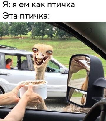 https://forumupload.ru/uploads/0019/3a/78/4/t595452.jpg