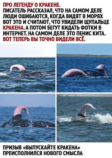 https://forumupload.ru/uploads/0019/3a/78/4/t742745.jpg