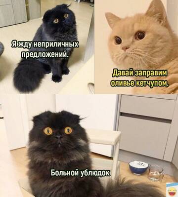 https://forumupload.ru/uploads/0019/3a/78/4/t865417.jpg