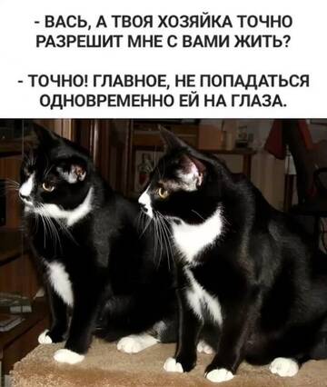 https://forumupload.ru/uploads/0019/3a/78/4/t888419.jpg