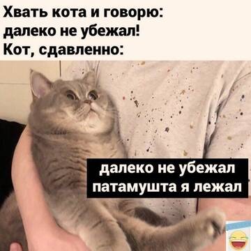 https://forumupload.ru/uploads/0019/3a/78/4/t914573.jpg