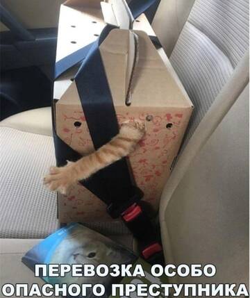 https://forumupload.ru/uploads/0019/3a/78/4/t953287.jpg