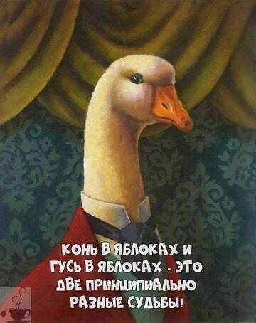 https://forumupload.ru/uploads/0019/3a/78/6/t953041.jpg