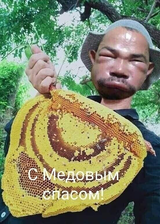 https://forumupload.ru/uploads/0019/3a/78/74/t987963.jpg