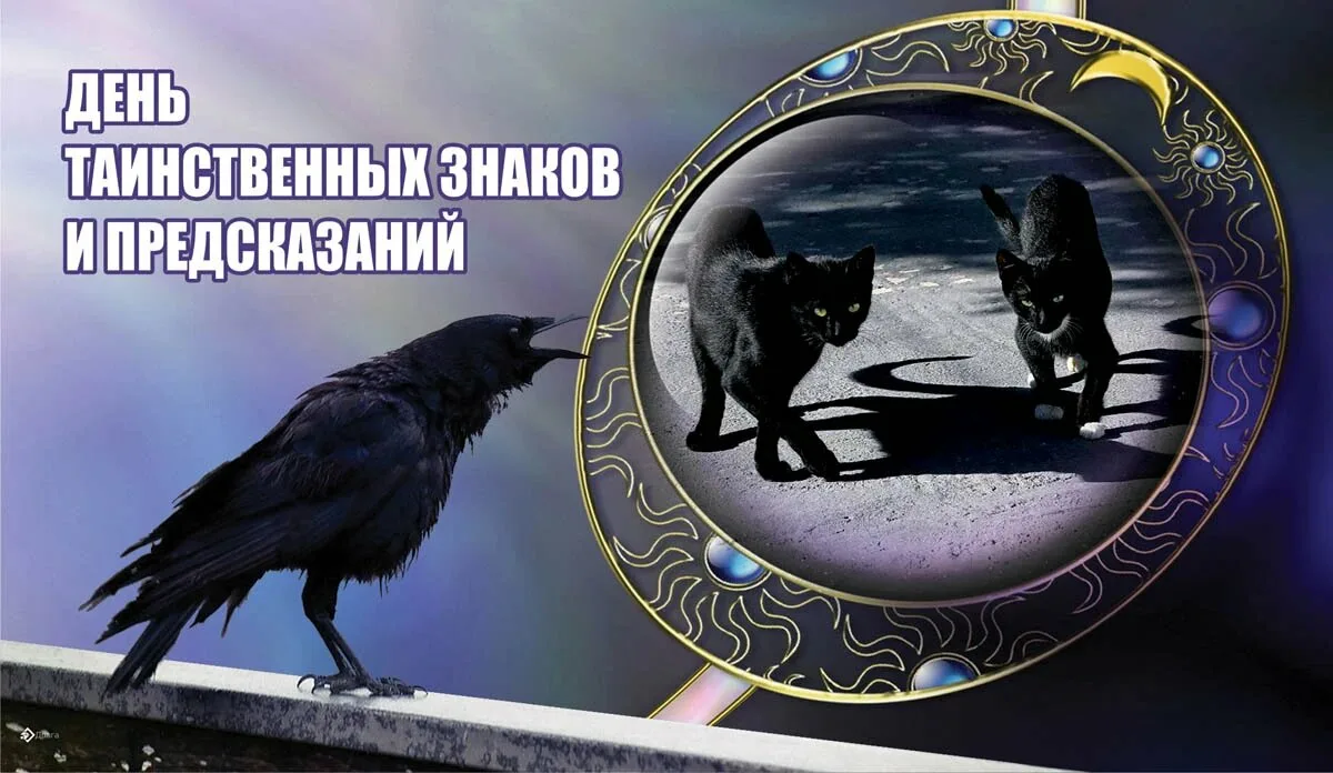 https://forumupload.ru/uploads/0019/3c/8c/1445/585224.webp