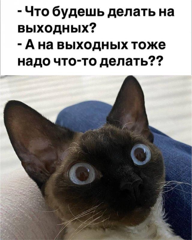 https://forumupload.ru/uploads/0019/3c/8c/2/523014.jpg