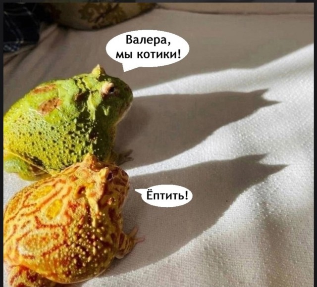 https://forumupload.ru/uploads/0019/3c/8c/2/73474.jpg