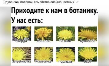 https://forumupload.ru/uploads/0019/3c/8c/26/t422108.jpg