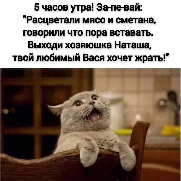 https://forumupload.ru/uploads/0019/3c/8c/3/266262.jpg