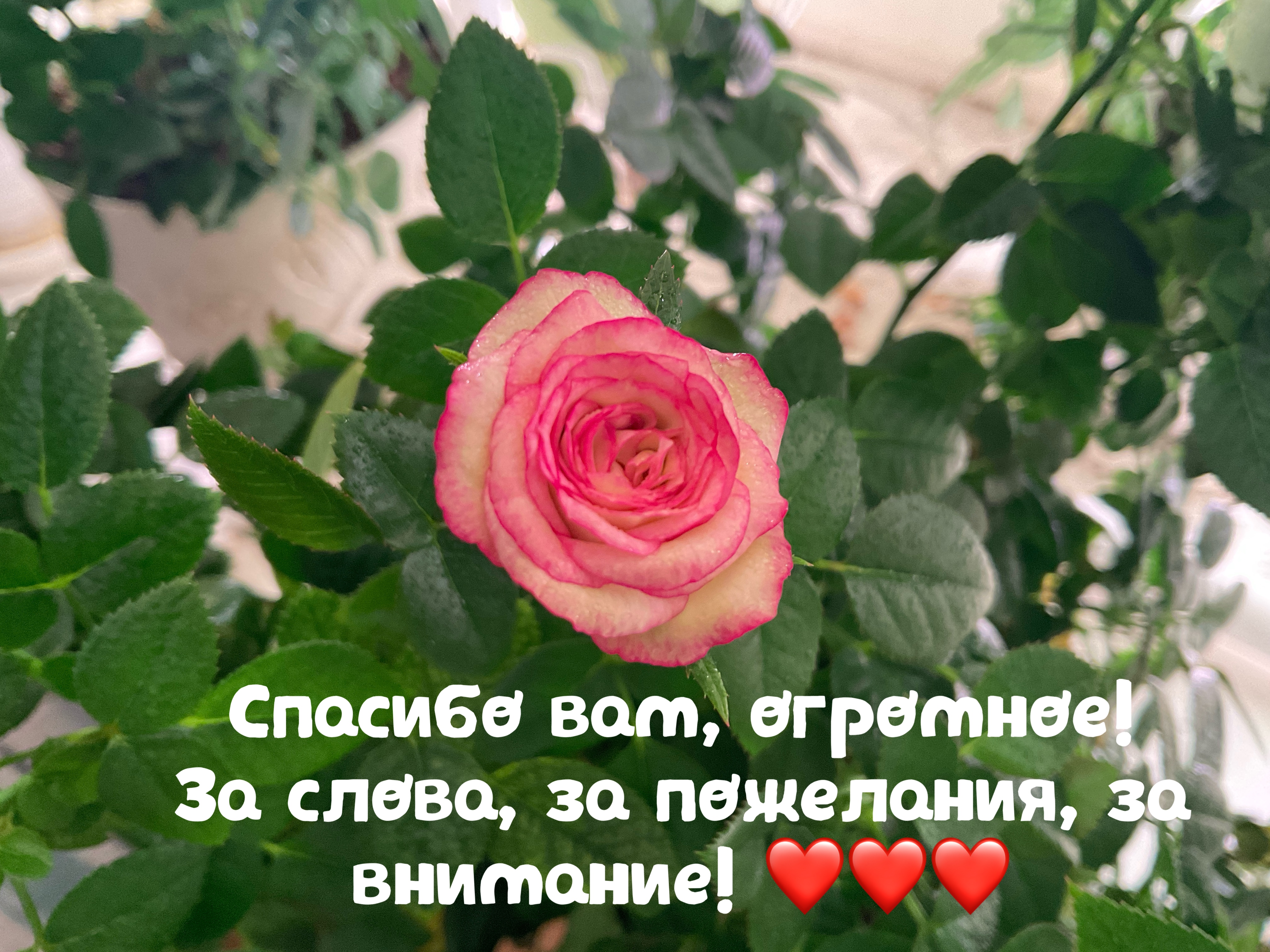 https://forumupload.ru/uploads/0019/3c/8c/3/442780.jpg