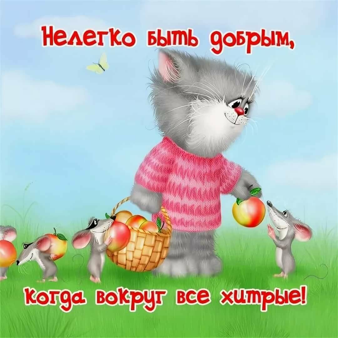 Смешные картинки про добро