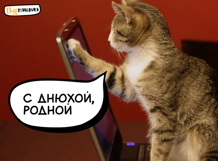 https://forumupload.ru/uploads/0019/3c/8c/39/124442.jpg