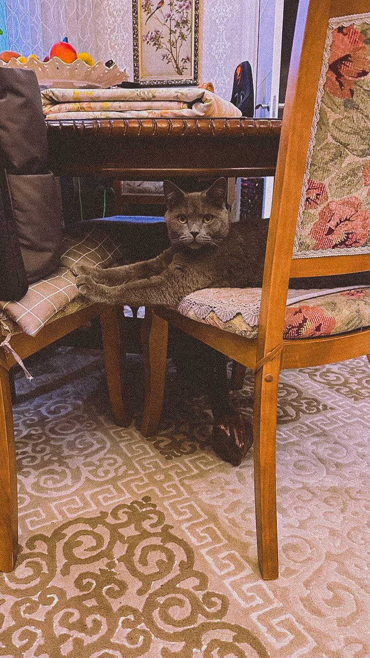 https://forumupload.ru/uploads/0019/49/95/2/751238.jpg