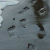 https://forumupload.ru/uploads/0019/4f/84/186/534153.png