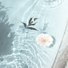 https://forumupload.ru/uploads/0019/4f/84/241/228513.png