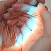 https://forumupload.ru/uploads/0019/4f/84/241/64102.png
