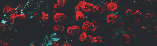 https://forumupload.ru/uploads/0019/4f/84/297/t605508.png