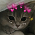 https://forumupload.ru/uploads/0019/9e/ef/4782/785538.jpg