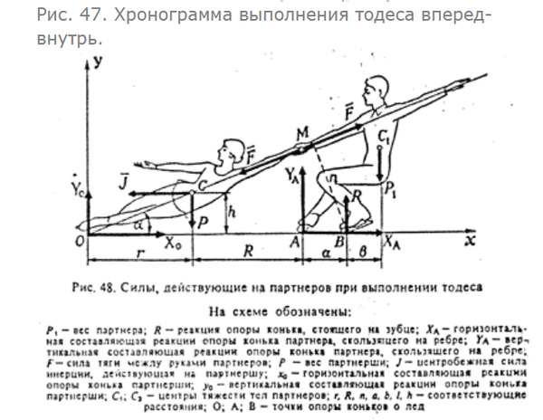 Силы действующие на спортсмена. Сила реакции опоры в биомеханике. Действующие силы при ходьбе. Силы действующие на человека при ходьбе. Какие силы действуют на человека при ходьбе.