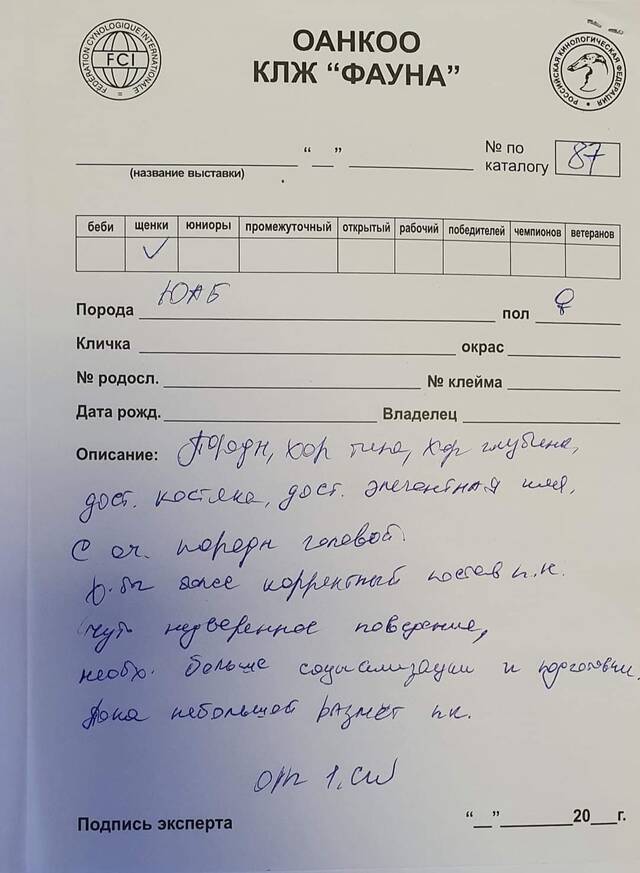 https://forumupload.ru/uploads/0019/c5/a8/2/291961.jpg