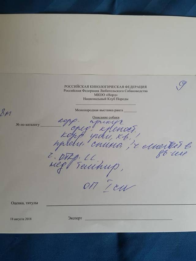 https://forumupload.ru/uploads/0019/c5/a8/2/33972.jpg