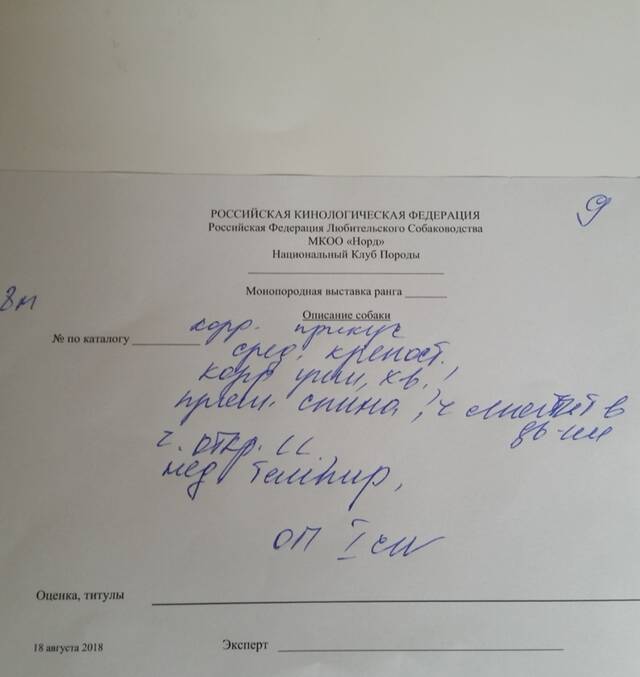 https://forumupload.ru/uploads/0019/c5/a8/2/48954.jpg