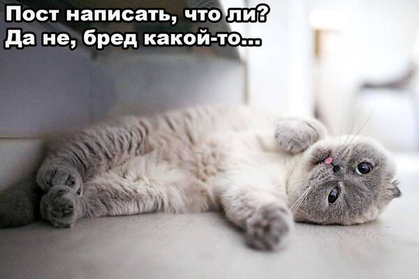 https://forumupload.ru/uploads/0019/c6/9f/6/t724786.jpg